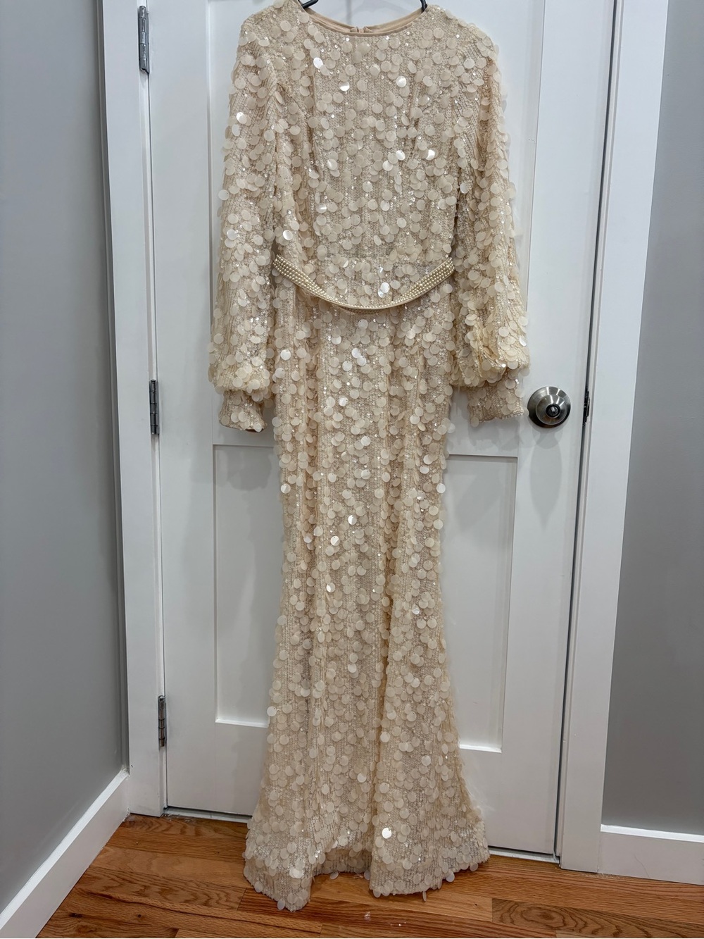 Sequin Champagne Long Sleeve Evening Gown - Picture 1 of 3
